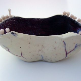 Teeth Dreams (dish), 2005