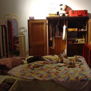 Pet Dreams (Bedroom), 2005