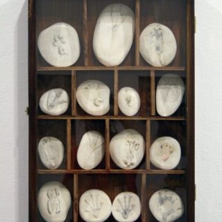 Footprint Collection, 2009