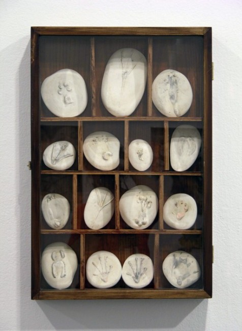 Footprint Collection, 2009
