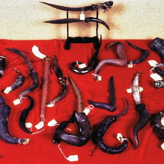 Animal Horn Weapons, 2004