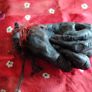 Gorilla Hand Souvenir, 2004