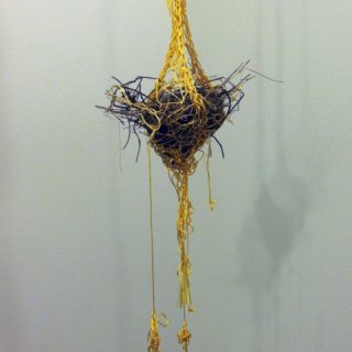 Bird's Nest, 2011