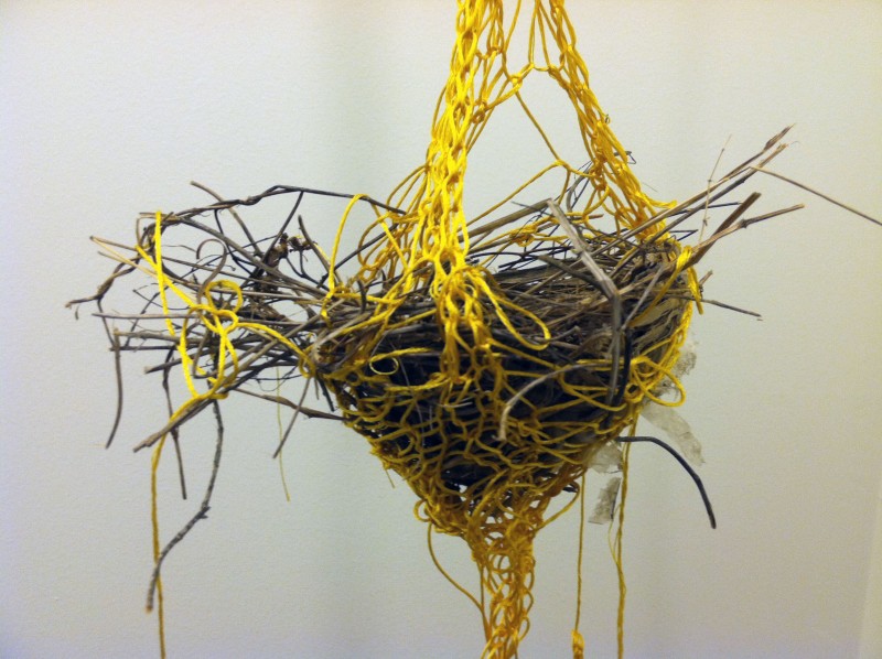 Bird's Nest (detail), 2011
