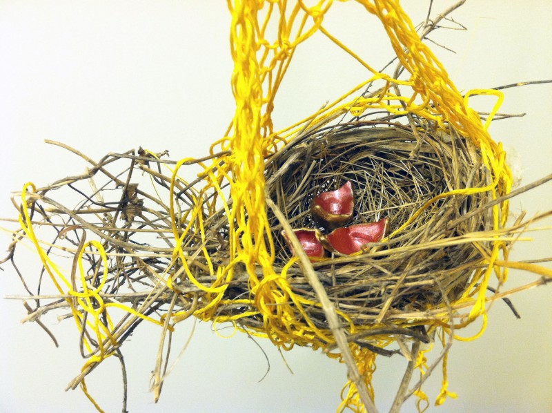 Bird's Nest (detail), 2011