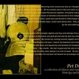 Pet Dreams, 2005