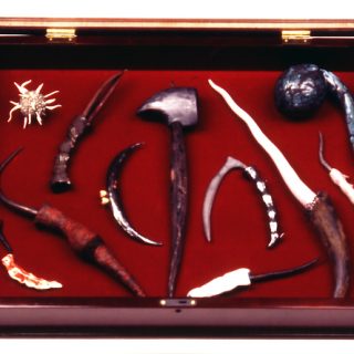 Tools for Animal Sacrifice, 2004
