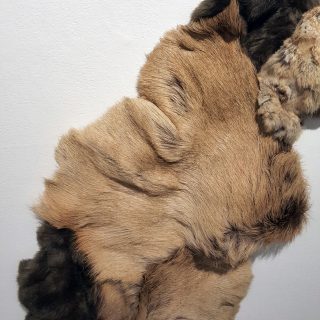 Fur (detail), 2017